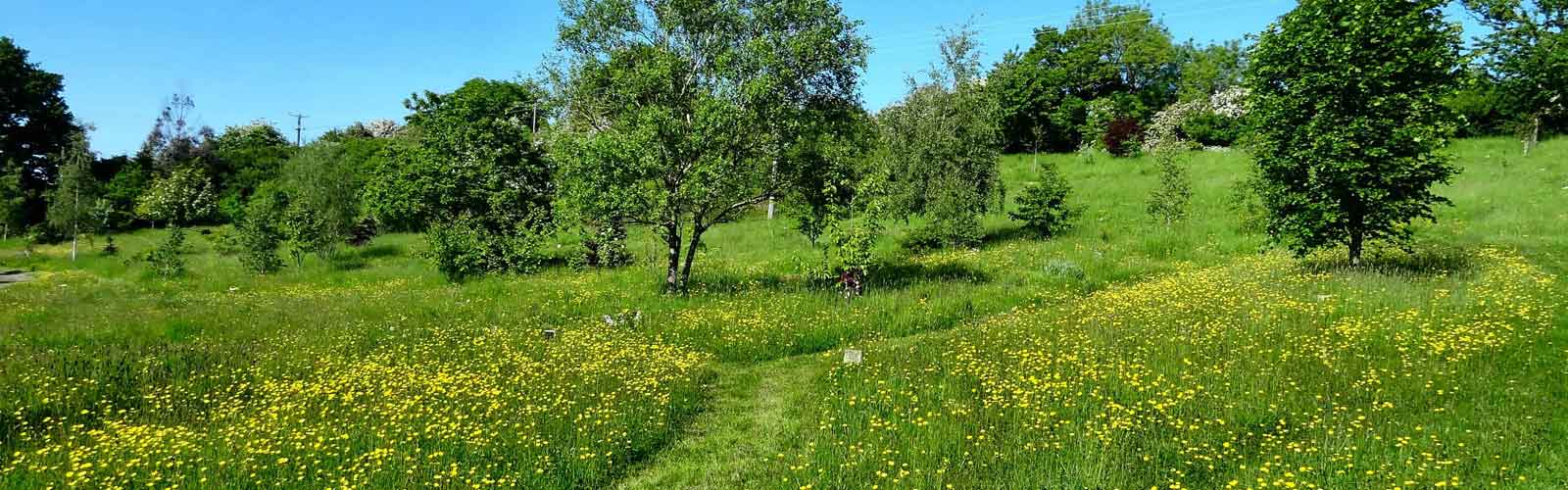 Worcestershire natural burial Westall Park